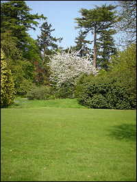 gardens1.png