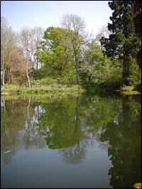 lake3.png