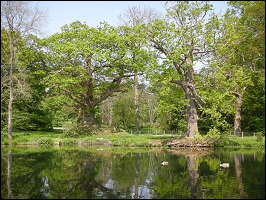 lake4.png
